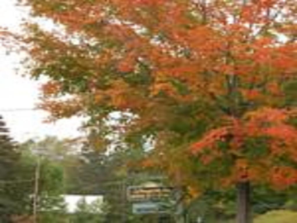 Willoughvale Inn Westmore Newport Экстерьер фото